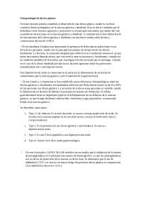 Banco de Preguntas Area de cirugia, Exámenes de Medicina. Universidad San Martin de Porres