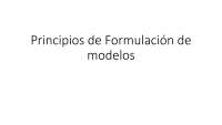 principios de formulación de modelo