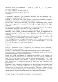 riassunto mutamento morfologico