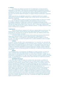 El riñon y sus partes - Docsity