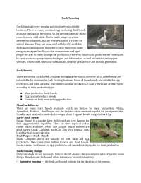 Duck Farming Techniques - Docsity