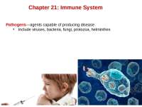 Immunity System Lecture Slides