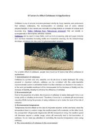 6 Factors to Affect Cellulases in Applications