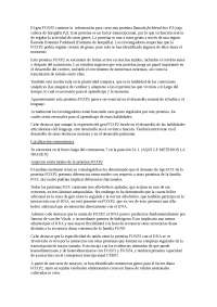 Gen FOXP2 y el origen del lenguaje - Docsity