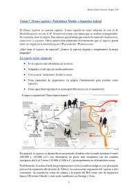 Prehistoria antigua 1º examen