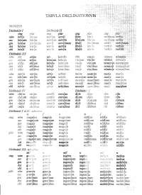 TABLA VERBOS en latín