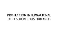 La protección internacional de los derechos humanos - Docsity