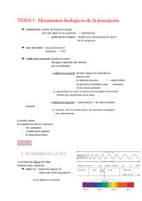 Psicología Fisiológica I Tema 1: Mecanismos biológicos de la percepción