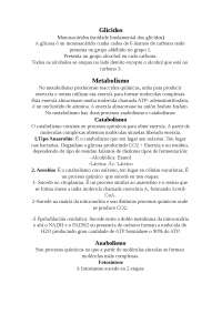 Glicidos para universitarios
