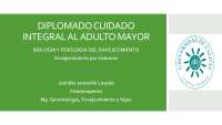 Envejecimiento por sistemas