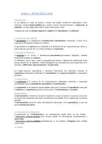 Memoria y aprendizaje