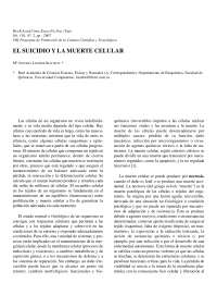 Muerte celular, necrosis y apoptosis