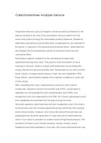 Catecholamines Analysis: Identifying & Quantifying Metabolites