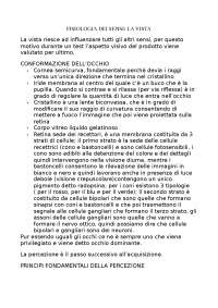 analisi sensoriali alimentari