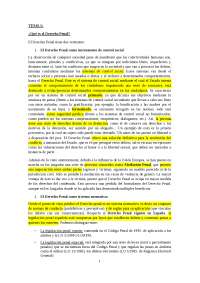 Derecho penal I apuntes Elena Blanca