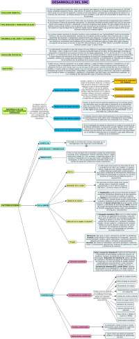 MAPA RESUMEN NEUROPSICOLOGIA
