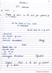 LAW DRAFTING EXAMPLE