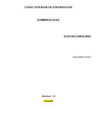 Estudo dirigido fases da gravidez