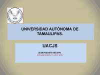 El Amparo Directo e Indirecto: Un Análisis de los Procedimientos y Recursos