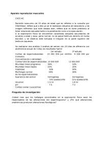 Apunte aparato reproductor masculino