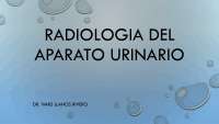 Radiología de ap urinario
