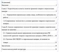 Реферат Хранение Товаров Реферат Хранение Товаров