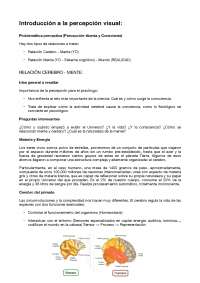 Introducción percepción