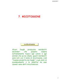 07-Micotossine - Appunti 7