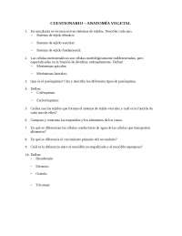 Cuestionario de Anatomia Vegetal