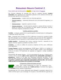 El Sistema Nervioso: Neuronas y Células Gliales