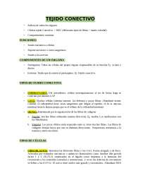 Tejido conectivo resumen