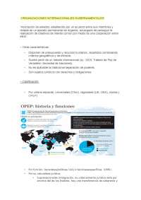 Organizaciones Internacionales Gubernamentales: Características y Principios de la ONU