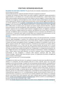 Struttura tridimensionale delle proteine: metodi di studio e applicazioni - Prof. De Gioia