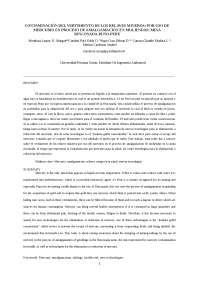 articulo-de-la-mina-rinconada
