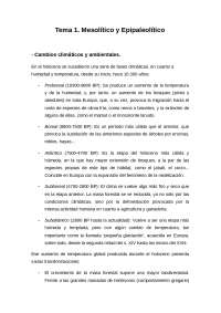 Prehistoria II MESOLÍTICO-CALCOLÍTICO