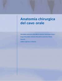 Anatomia Chirurgica del Cavo Orale: Esercizi e Casi Clinici