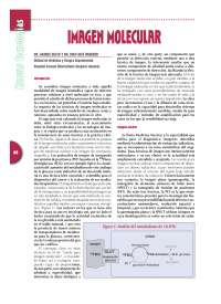 Imagen Molecular - Medicina Nuclear