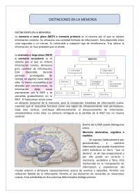 Memoria Humana: Corta y Larga