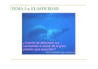 Apuntes Física: elasticidad, fluidos e hidrostática (3)