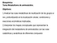 Metabolismo de Aminoácidos: Desaminación, Transaminación y Ciclo de la Urea