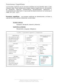 Funciones cognitivas, apunte resumen