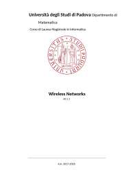 Riassunto Wireless Network