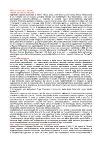 Riassunto di Psicologia del lavoro esame Ripamonti - Docsity