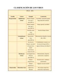 Clasificación de los virus