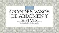 Grandes vasos de abdomen y pelvis