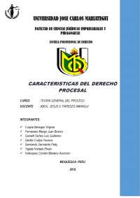 CARACTERISTICAS PROCESALES