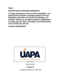 Tarea 1 de Canales de Distribución - UAPA