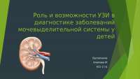 УЗИ органов мочевыделительной системы