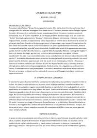 L`Universo del Romanzo riassunto Docsity