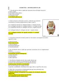 atividades sistema muscular e articular